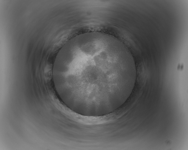 X0000114110034200910051524