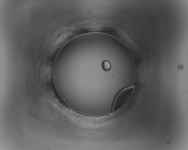 X0000114110035200910051524