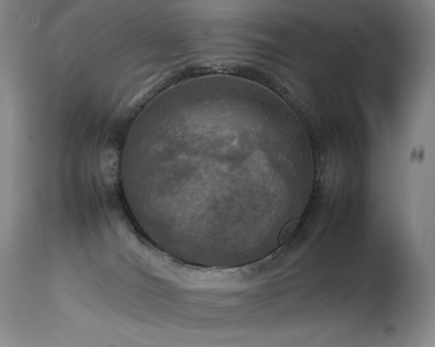 X0000114110036200910051524