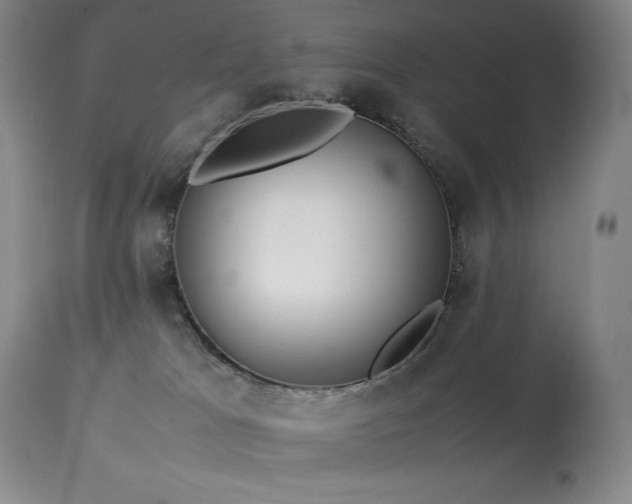 X0000114110037200910051524