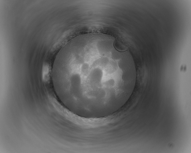 X0000114110038200910051524
