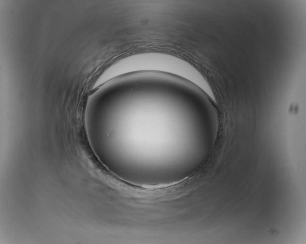 X0000114110039200910051524