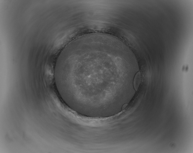 X0000114110040200910051524