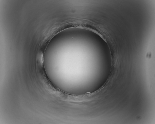 X0000114110041200910051524