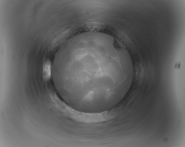 X0000114110042200910051524