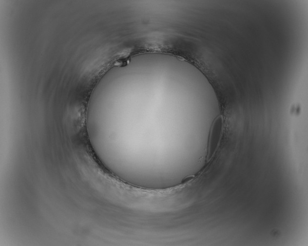 X0000114110043200910051524