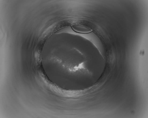 X0000114110044200910051524