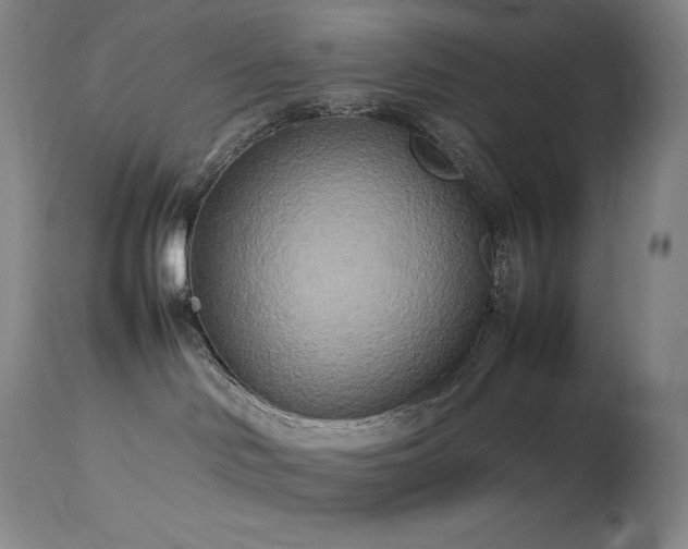 X0000114110046200910051524