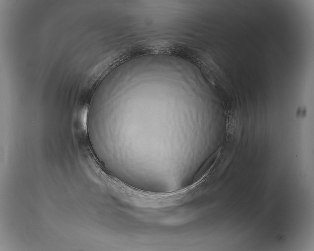 X0000114110047200910051524