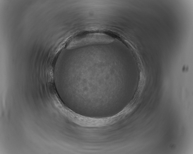 X0000114110048200910051524