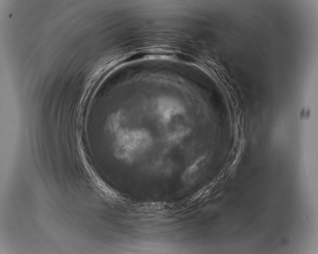 X0000114110049200910051523