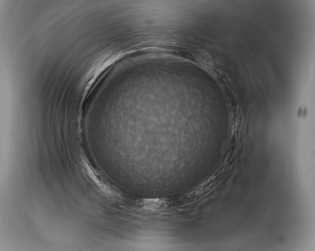 X0000114110050200910051523