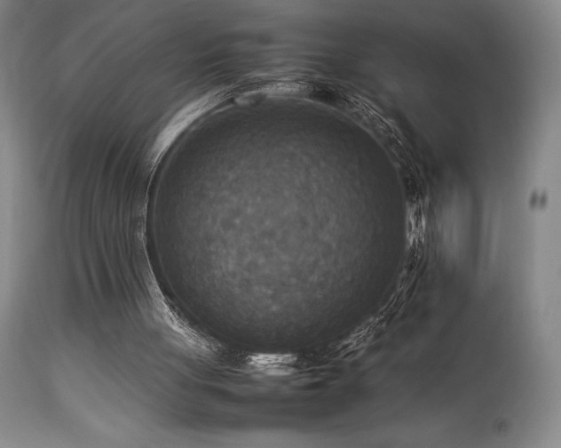 X0000114110051200910051523