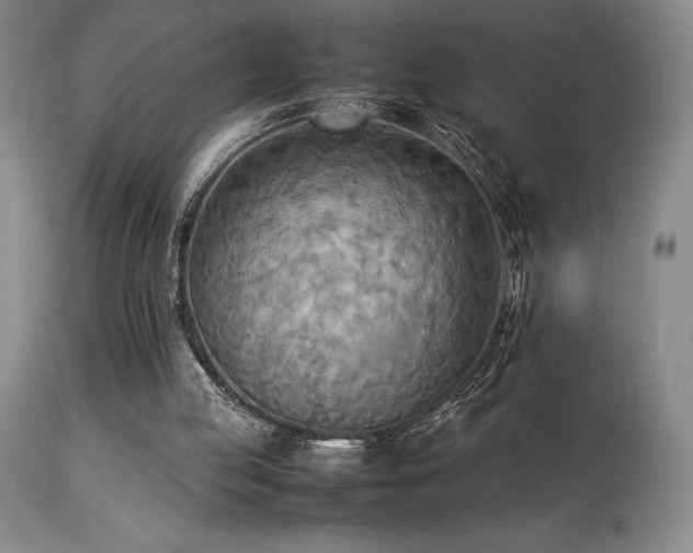 X0000114110053200910051523