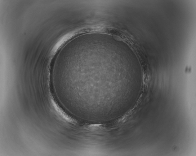 X0000114110054200910051523