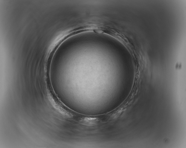 X0000114110055200910051523