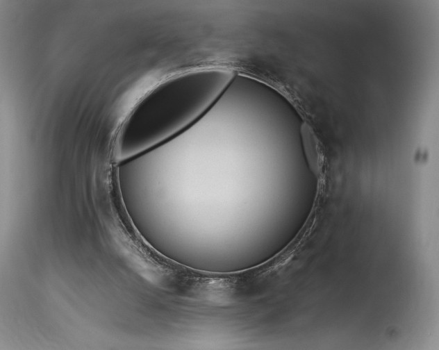 X0000114110056200910051523