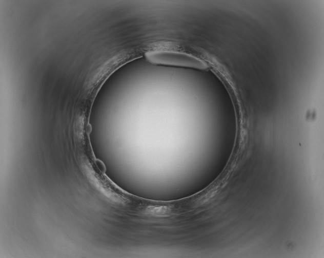 X0000114110057200910051523