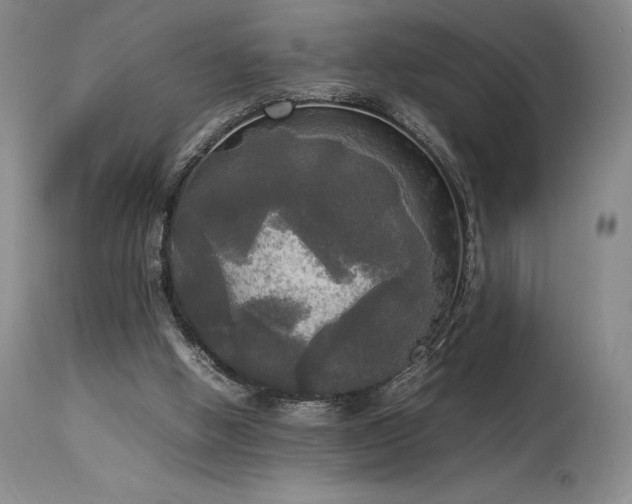 X0000114110058200910051523