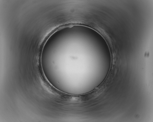 X0000114110060200910051523
