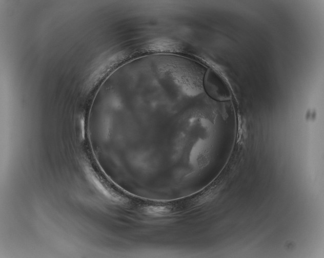 X0000114110061200910051523
