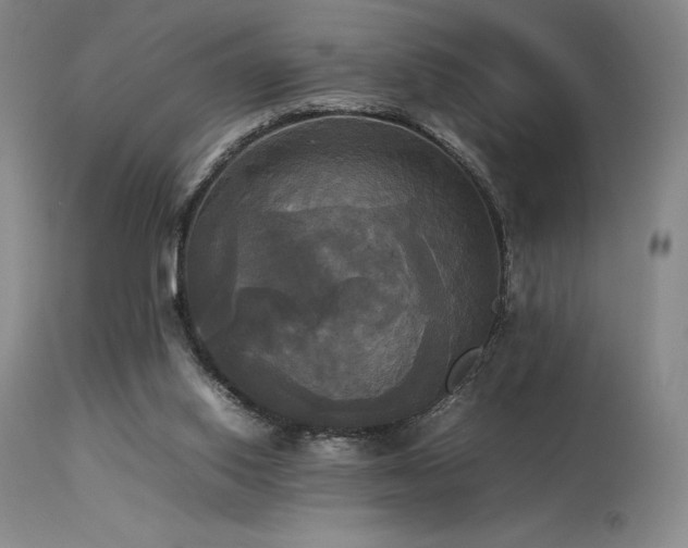 X0000114110062200910051523