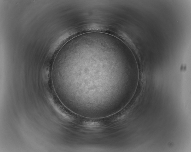 X0000114110063200910051523
