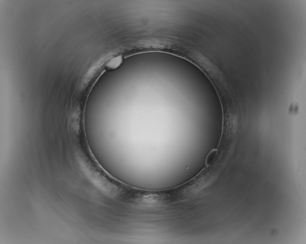 X0000114110064200910051523