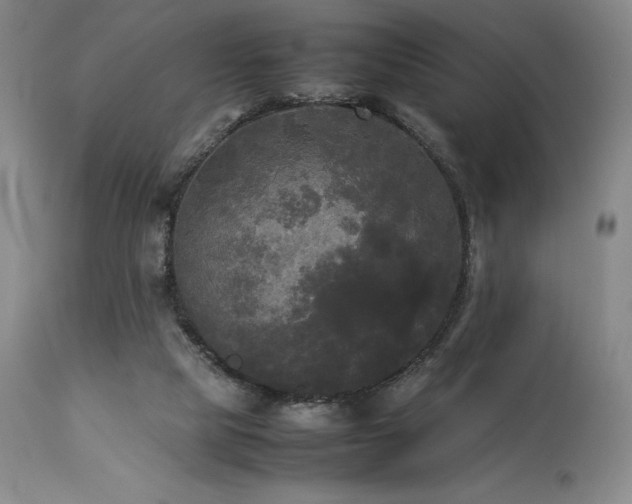 X0000114110065200910051523