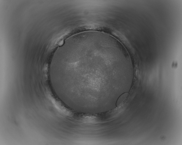 X0000114110066200910051523