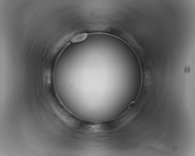 X0000114110068200910051523