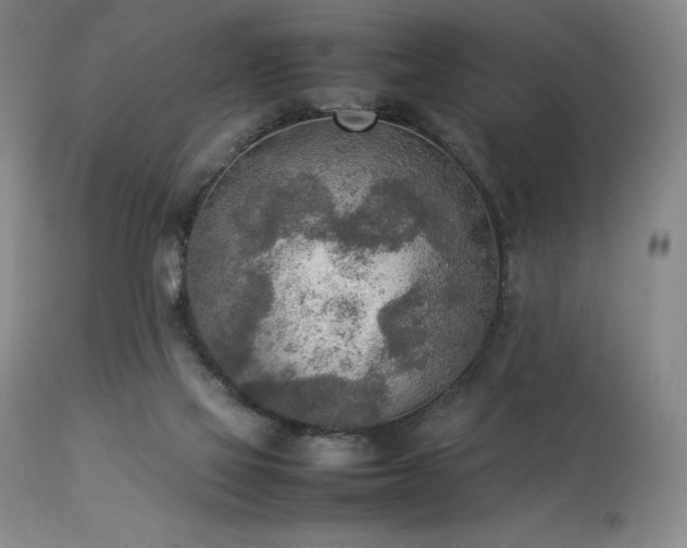 X0000114110069200910051523