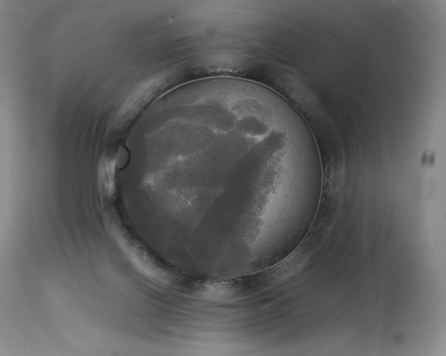 X0000114110070200910051523