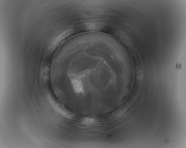 X0000114110071200910051523