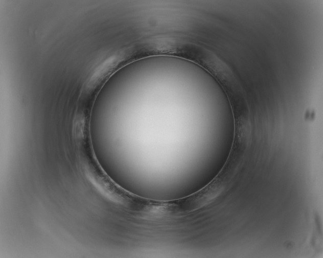 X0000114110072200910051523