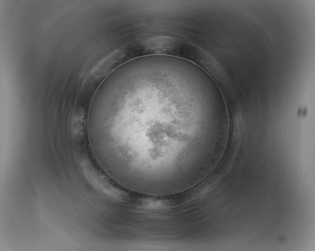 X0000114110073200910051523