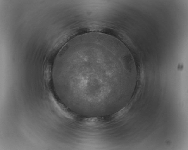 X0000114110074200910051524