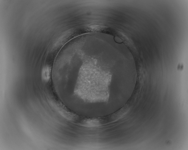 X0000114110075200910051524