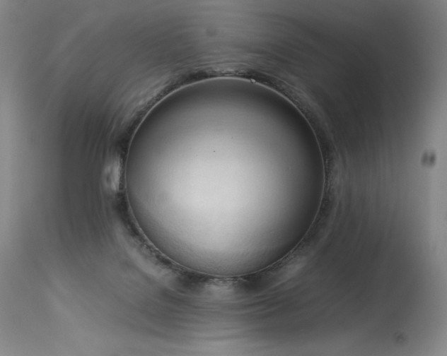 X0000114110076200910051524