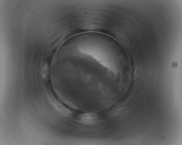 X0000114110077200910051524