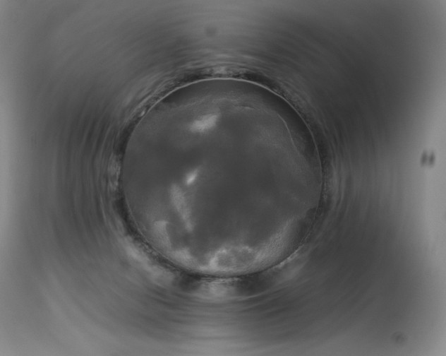 X0000114110078200910051524