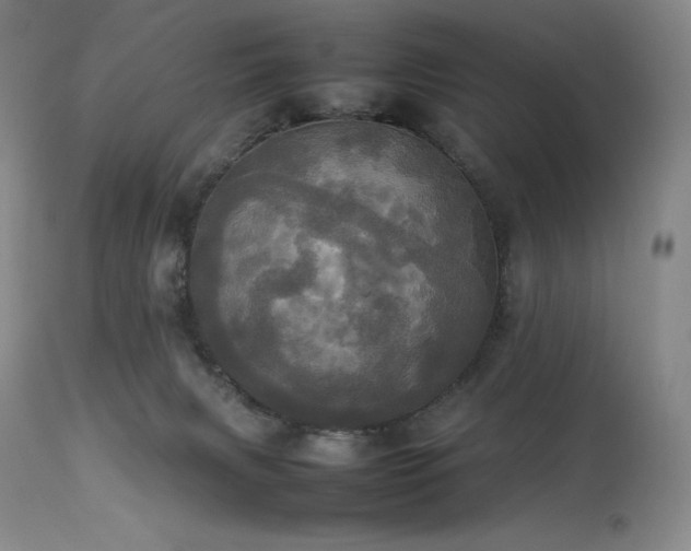 X0000114110079200910051524