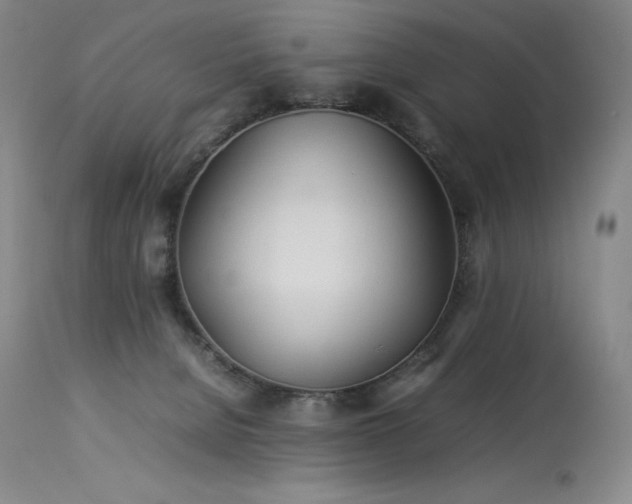 X0000114110080200910051524