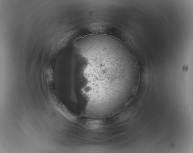 X0000114110081200910051524