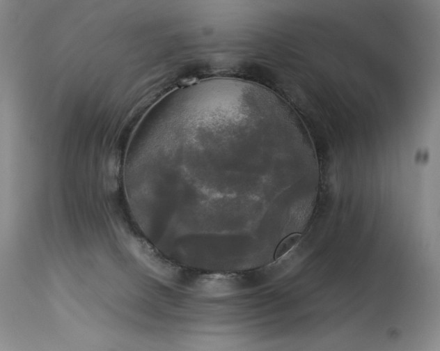 X0000114110082200910051524