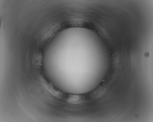 X0000114110083200910051524