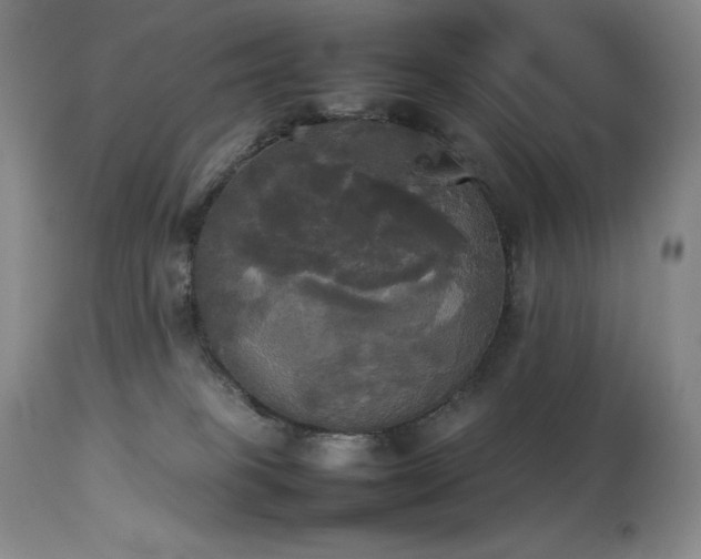 X0000114110085200910051524