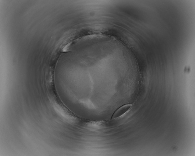 X0000114110086200910051524