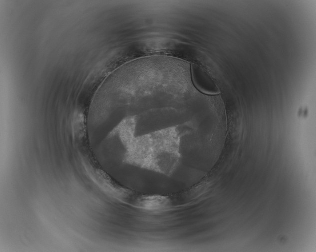 X0000114110087200910051524