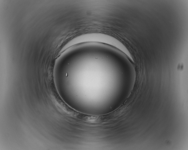 X0000114110088200910051524
